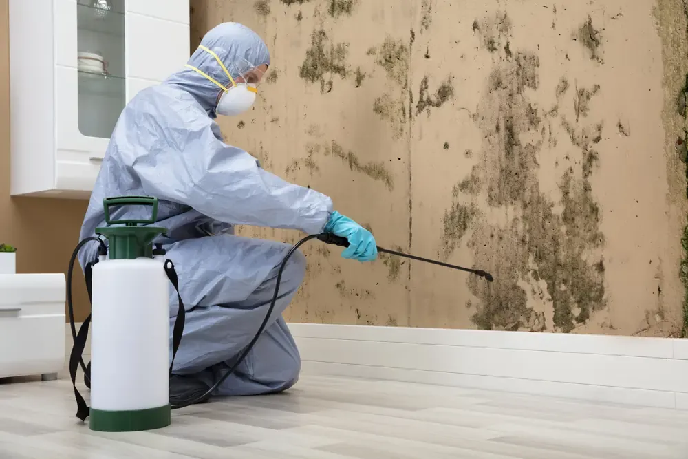 Mold Trust