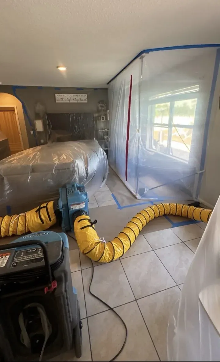 Real Mold Remediation Orlando