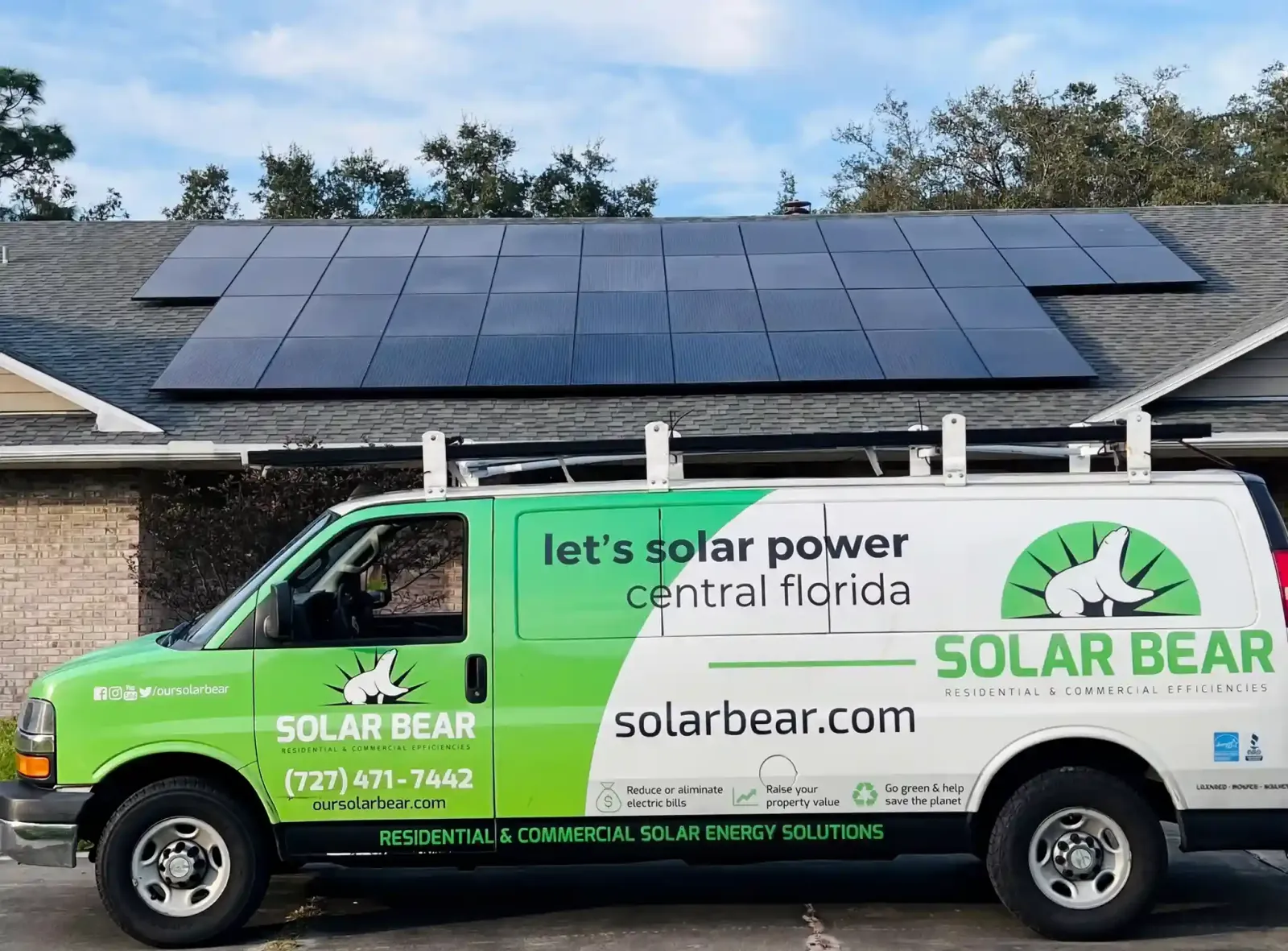 Solar Bear