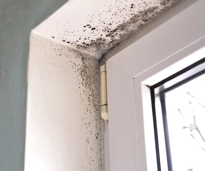 SERVPRO of Osceola County