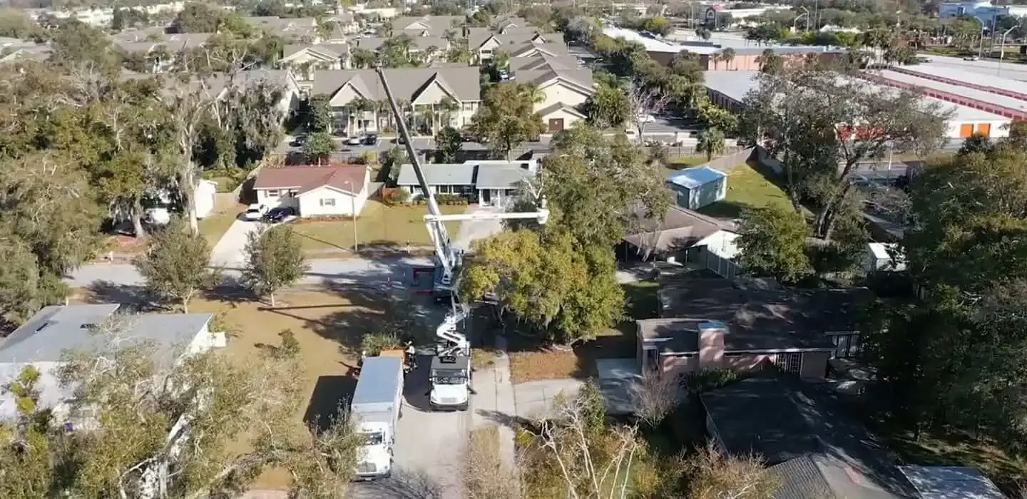 A Budget Tree Service, Inc.
