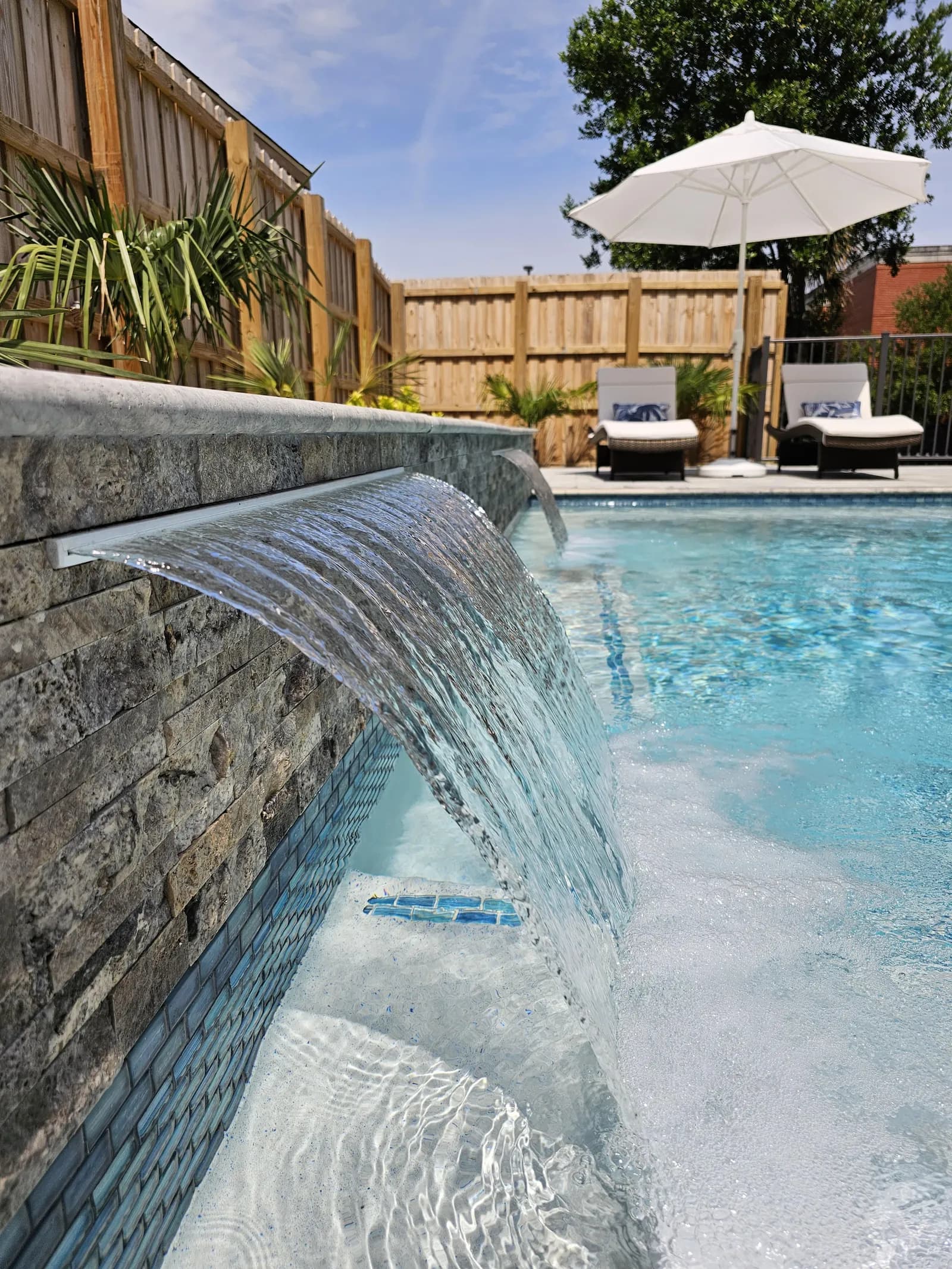 Payne Pool Professionals Tampa Bay
