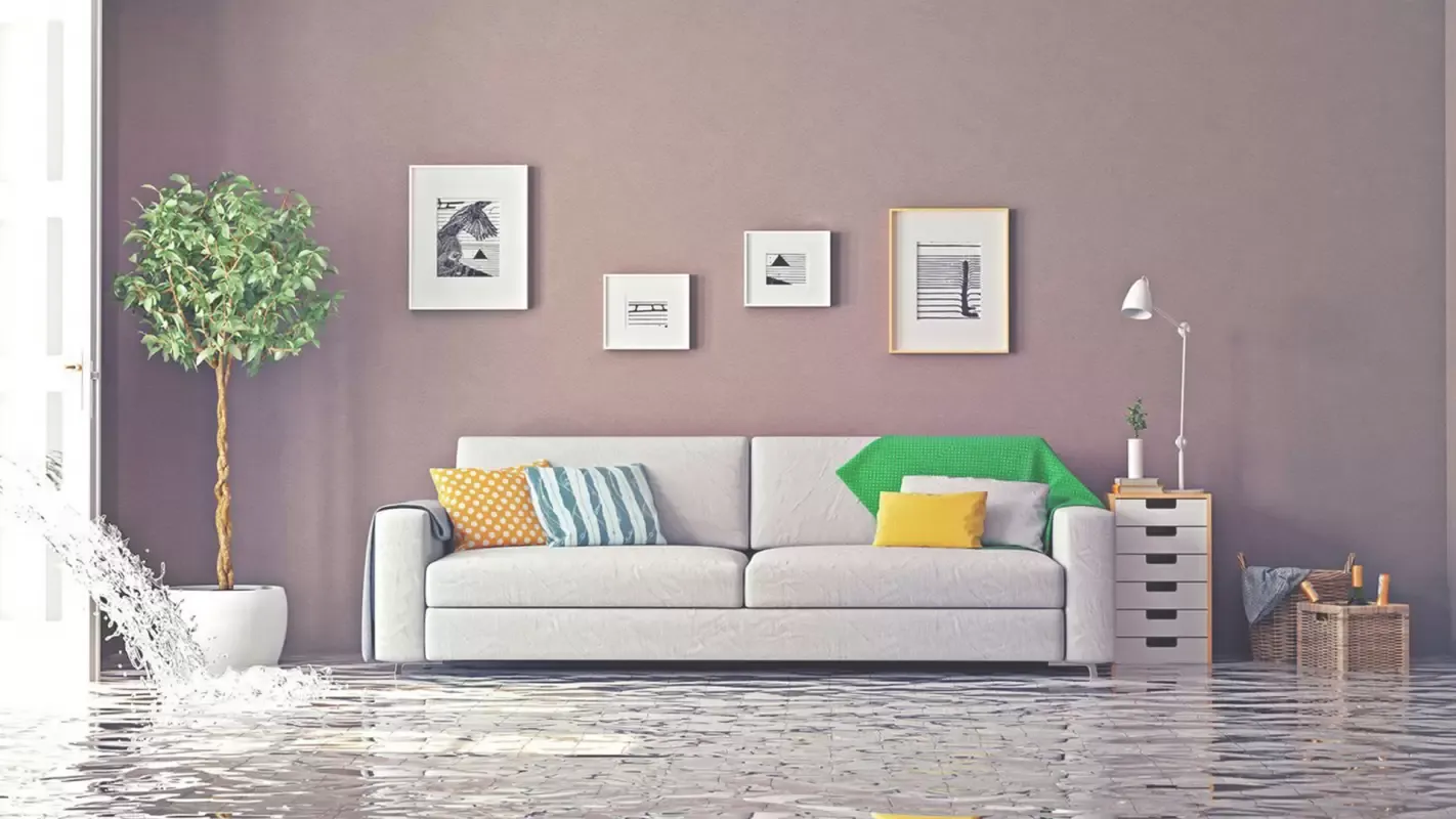 A1 Restoration Specialist LLC