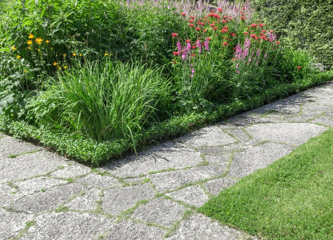 St. Cloud Landscaping Experts