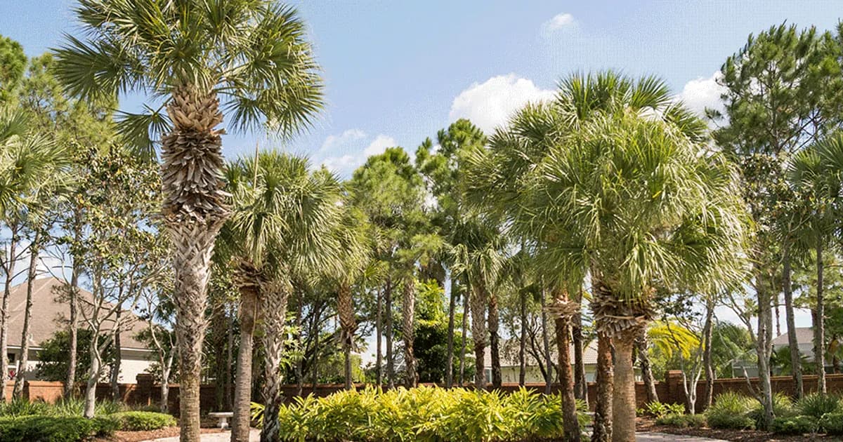 Davey Tree Expert Company - Orlando
