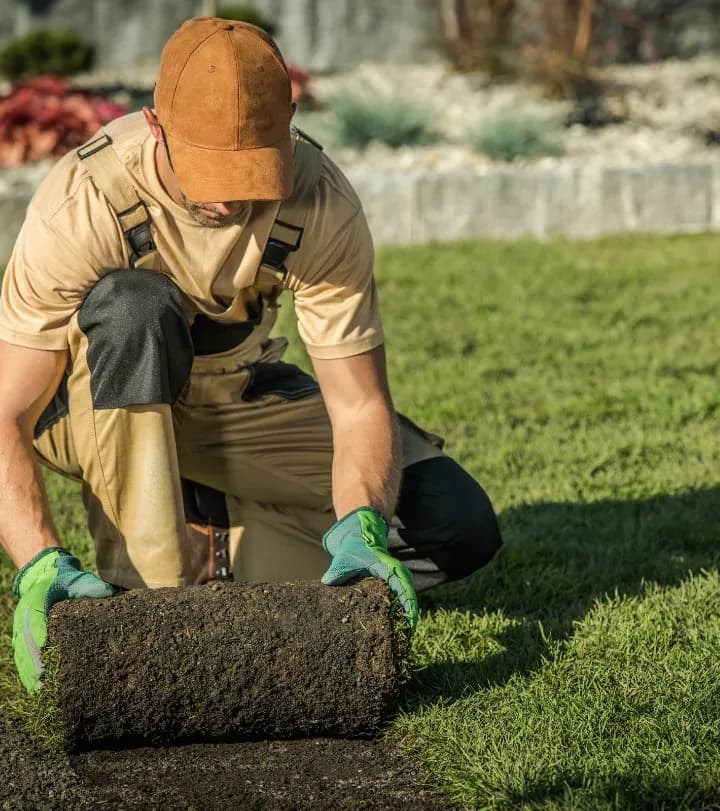 Alpha Lawncare
