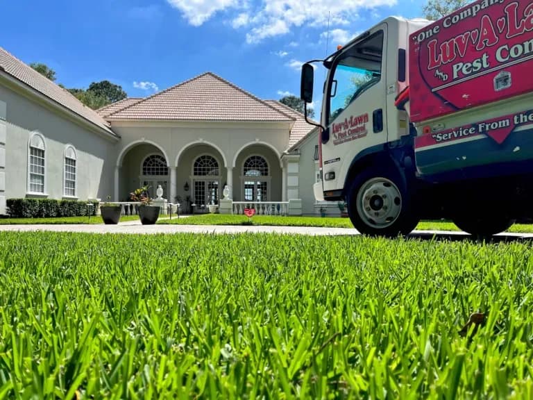 Luv-A-Lawn and Pest Control