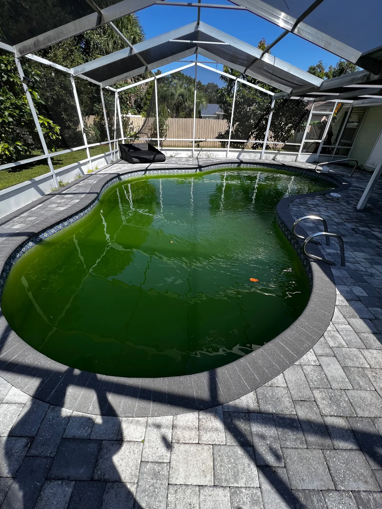 Construserv Pool