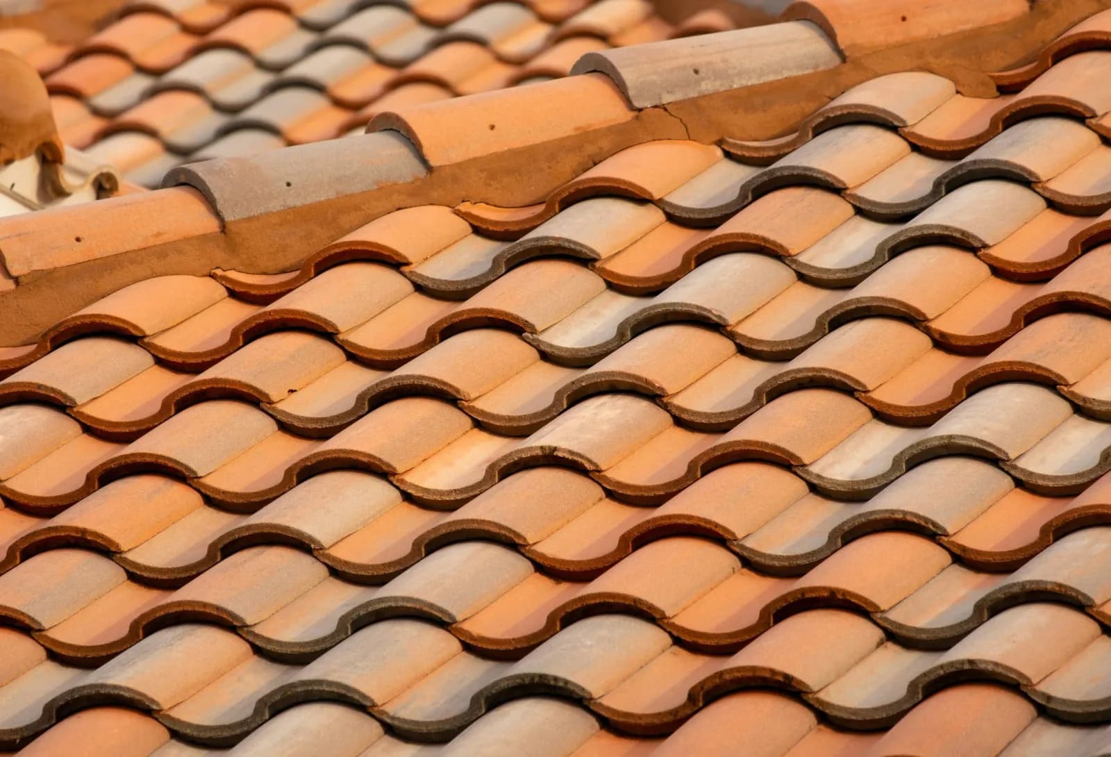 Top Rank Builder and Roofing
